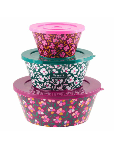 SALADIERS  X3 EMPILABLES chat bonheur