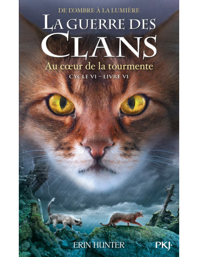 LA GUERRE DES CLANS, CYCLE VI - TOME 6 AU COEUR DE LA TOURMENTE - VOL06