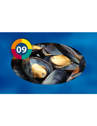 Moules (Blister) - 100g