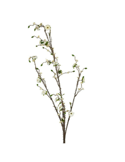 Fleur Heliopsis Écru Tige Géante 108cm