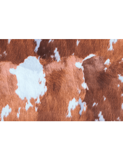 Velours vache rousse 145cm 75000 tours martindale au mètre