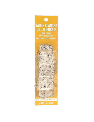 Sauge Blanche Californie Tresse