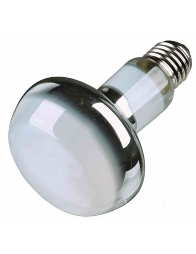 Lampe spot à chaleur ø 80 × 108 mm - 50W