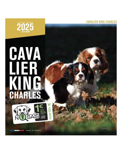 Calendrier chien 2025 - Cavalier King Charles - Martin