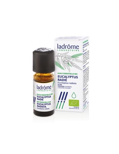 Eucalyptus radié Bio 10ml