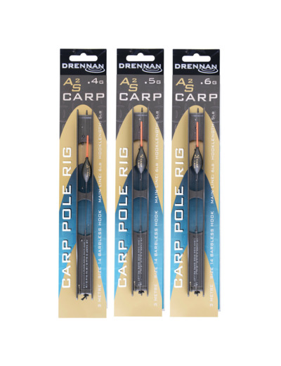 AS carp 2 pole rig drennan
