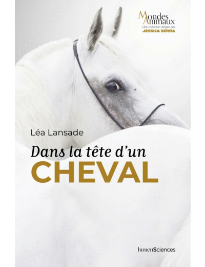 DANS LA TETE D'UN CHEVAL