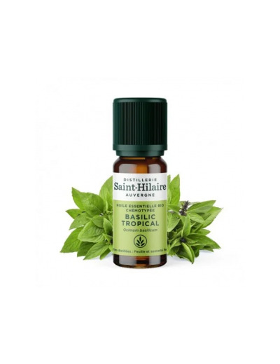 Huile essentielle Basilic Tropical bio 10ml