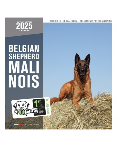 Calendrier chien 2025 - Berger Belge Malinois - Martin