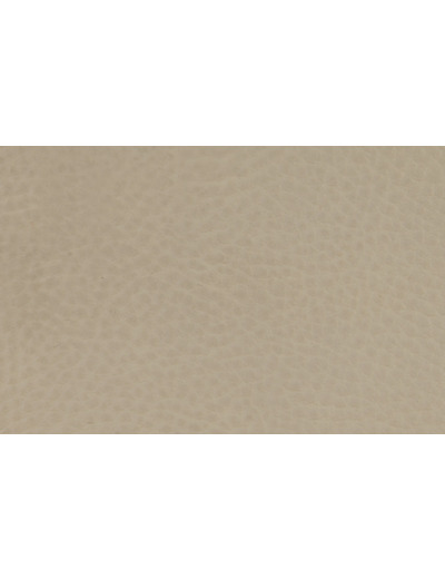 Gladiator Mastic Simili cuir laize 137cm 200000 tours martindale M2