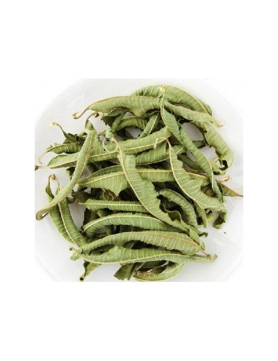 Verveine grande feuille BIO 50g