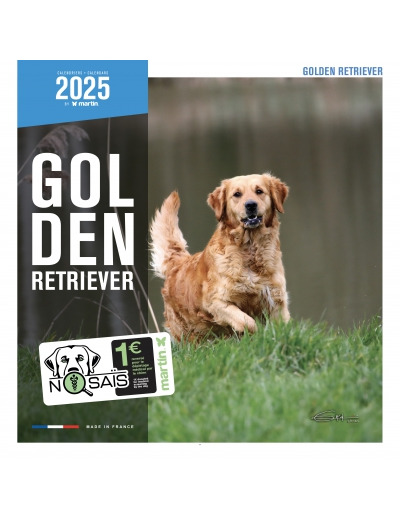 Calendrier chien 2025 - Golden Retriever - Martin