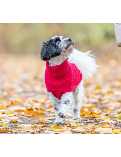 TRIXIE, Pullover NORWOOD