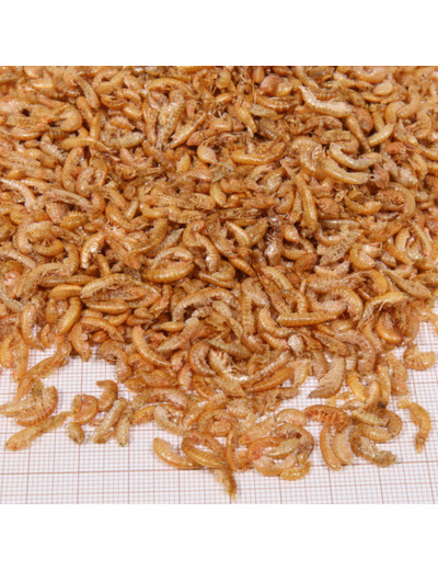 JBL, PROTERRA Gammarus - 750ml