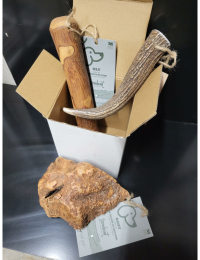 BOX de mastication "Dans les bois" pour chien