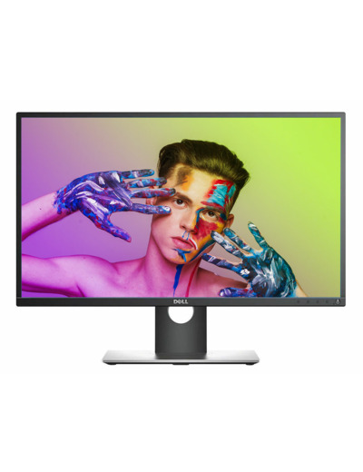 Dell P2417H - LCD 23.8 - Ecran