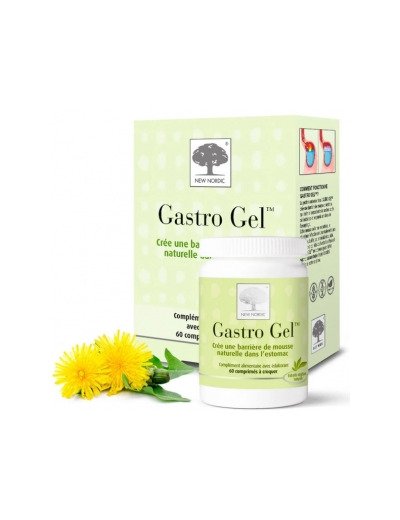 Gastro Gel 60 comprimés à croquer