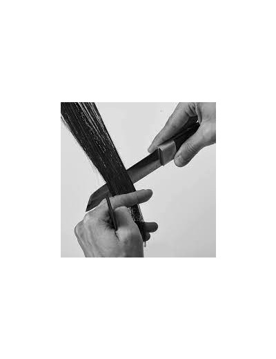 Conférence Trichothérapy-17h30 à 18h30 samedi 29 novembre 2025