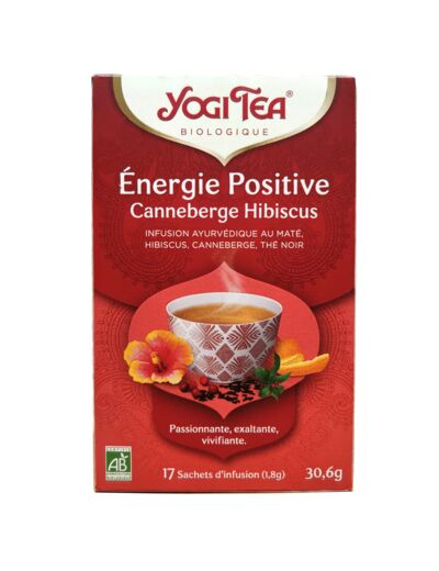 Infusion Ayurvédique Energie Positive Bio 17 Sachets