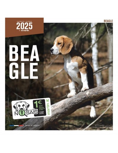 Calendrier chien 2025 - Beagle - Martin