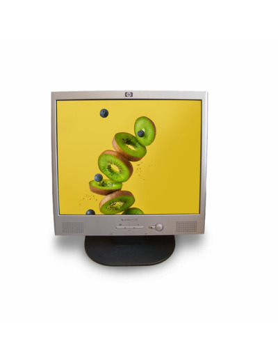 HP F1723 - LCD 17 - Ecran