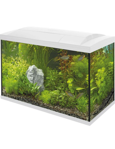 Aquarium Superfish 100 - 68.7 x 34 x 46.5 cm