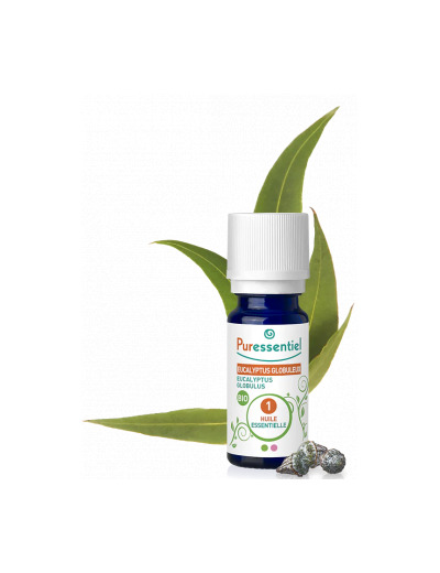 Eucalyptus globuleux BIO 10ml