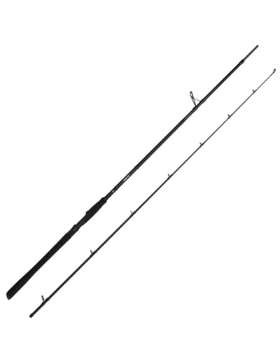 canne sg2 big bait 2.21m 35-100g