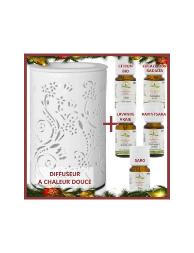 Coffret Aromatherapie Diffuseur en Ceramique et 5 Huiles essentielles