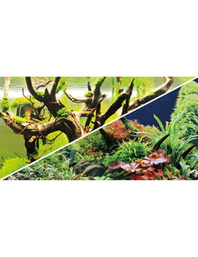 Poster GREEN SECRET / WOOD ISLAND - 100 x 50 cm