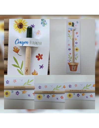 Crayon à planter 🌸