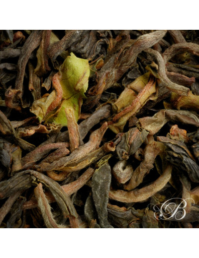 Darjeeling Arya first flush 2024