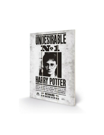 Impression sur bois Undesirable N°1 Harry Potter