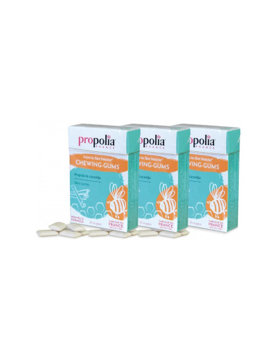 Chewing Gum Propolis et Cannelle Lot de 3 boîtes de 25 gommes