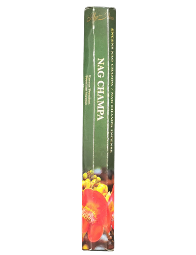 1 étui Hexagonalde 20 bâtons d'Encens - NAG CHAMPA