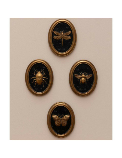 Ensemble 4 cadres insectes Entomologie 13x17cm
