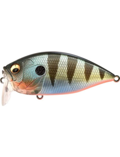over rev crank red fin perch