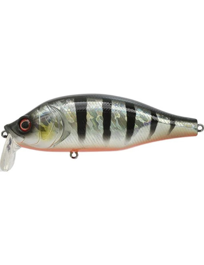 dango SR 120 red finperch xorus