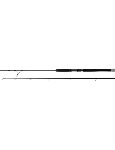 canne shadow cat spin 2.3m 200gr