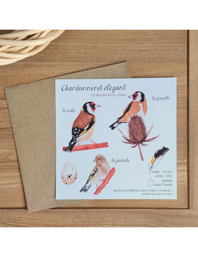 Carte Chardonnerets élégants