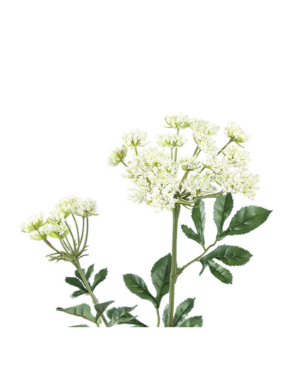 Fleur Artificielle Ammi Blanche en Polyester Haute Tige 74cm