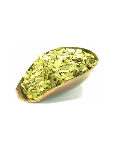 Gymnema Sylvestre feuille tisane 100gr