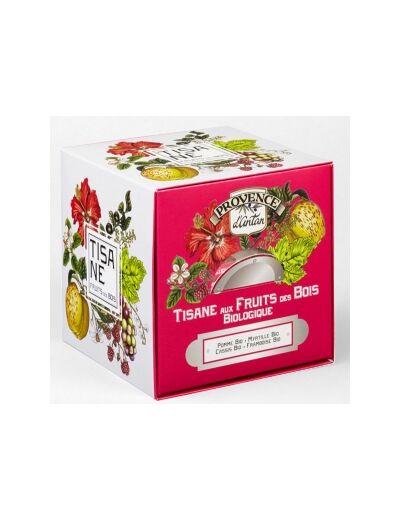 Tisane Be Cube Fruits des bois bio 24 sachets 60gr recharge carton