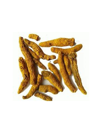 Curcuma racine coupé Rhizome bio 100 gr Herboristerie de Paris