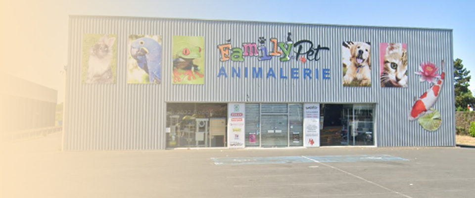 family pet