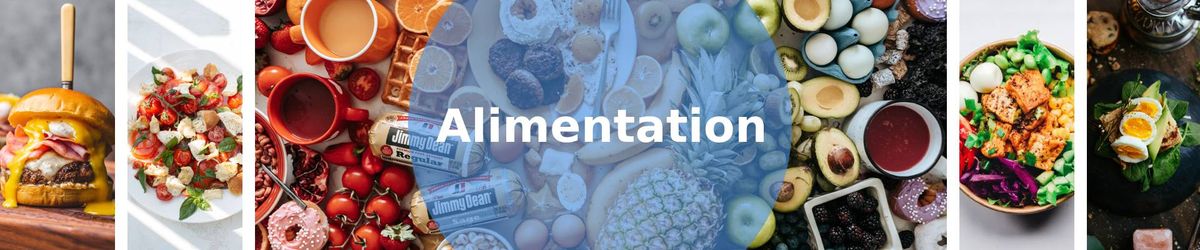 ALIMENTATION