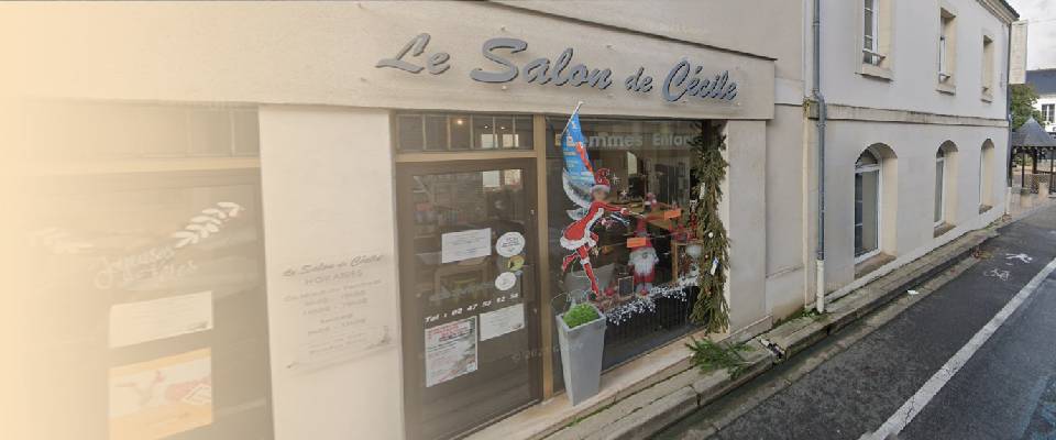 le salon de cecile
