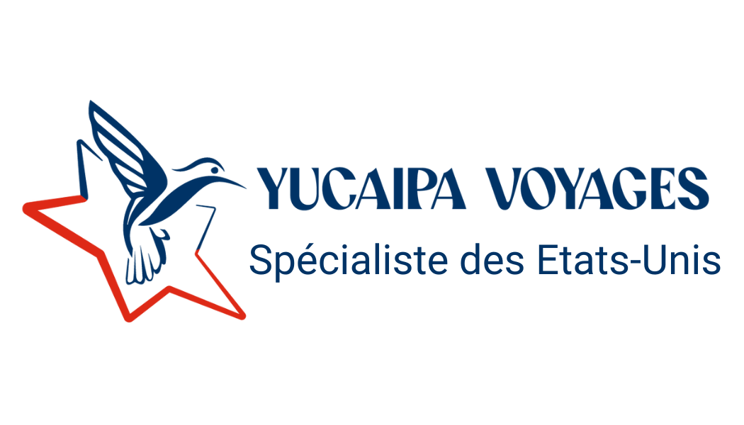 Yucaipa Voyages