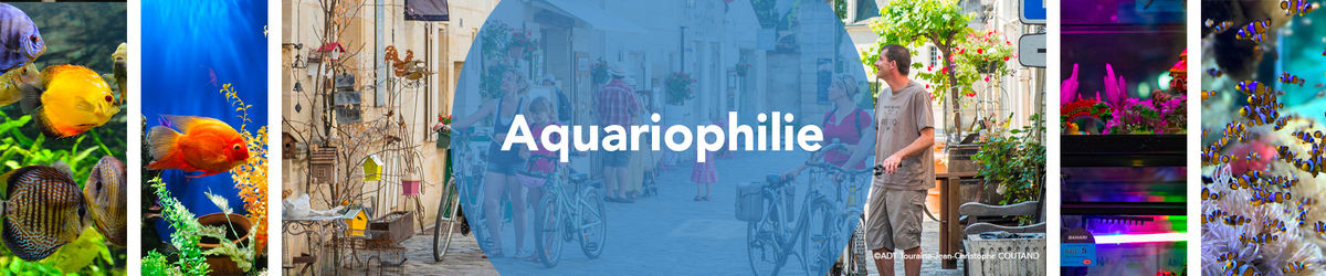 Aquariophilie
