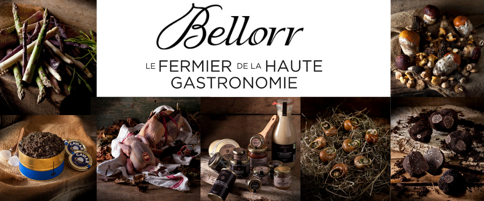 Bellorr